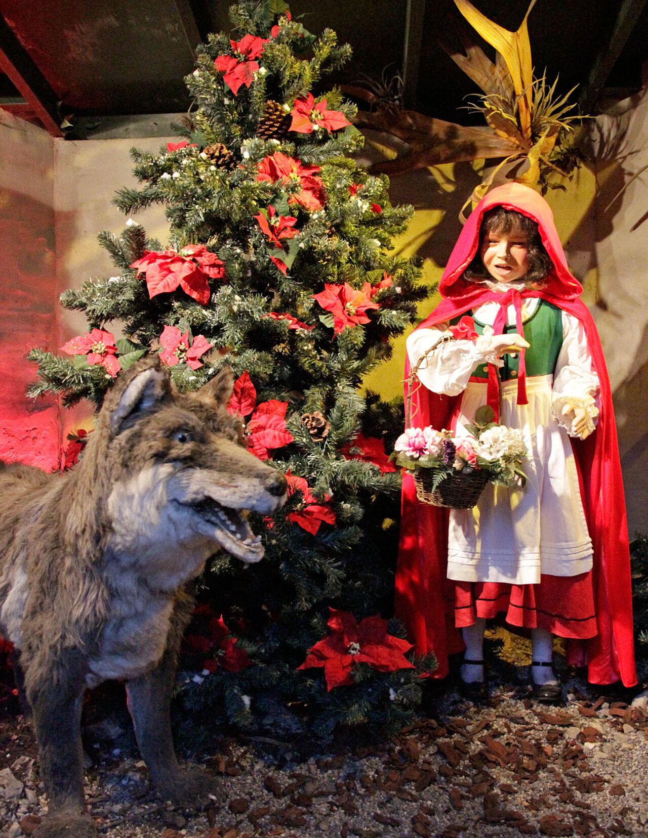 Roodkapje in de winter