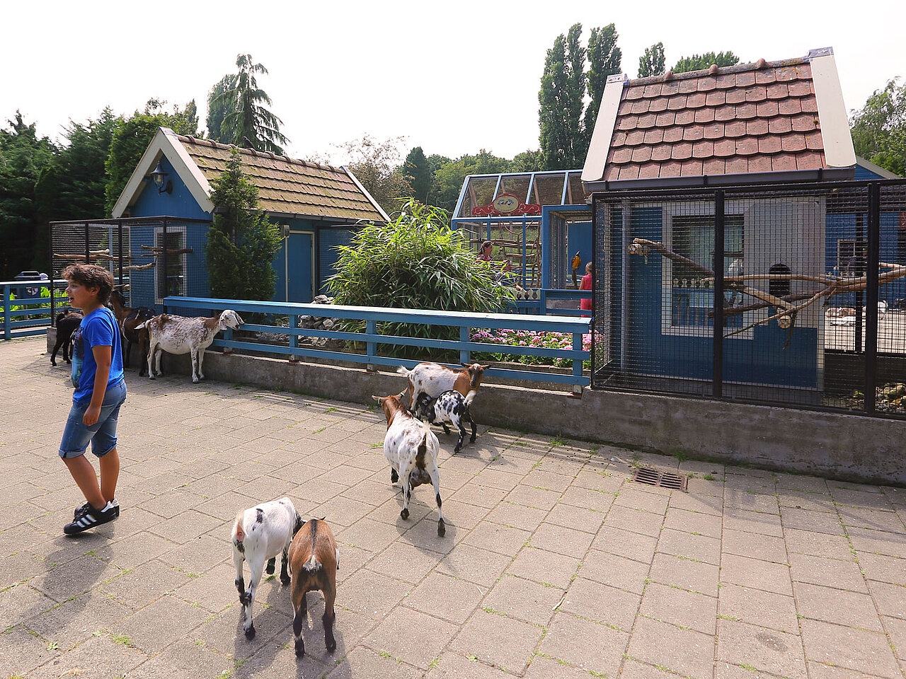 De bezoekersplaats van de Bokkensprong