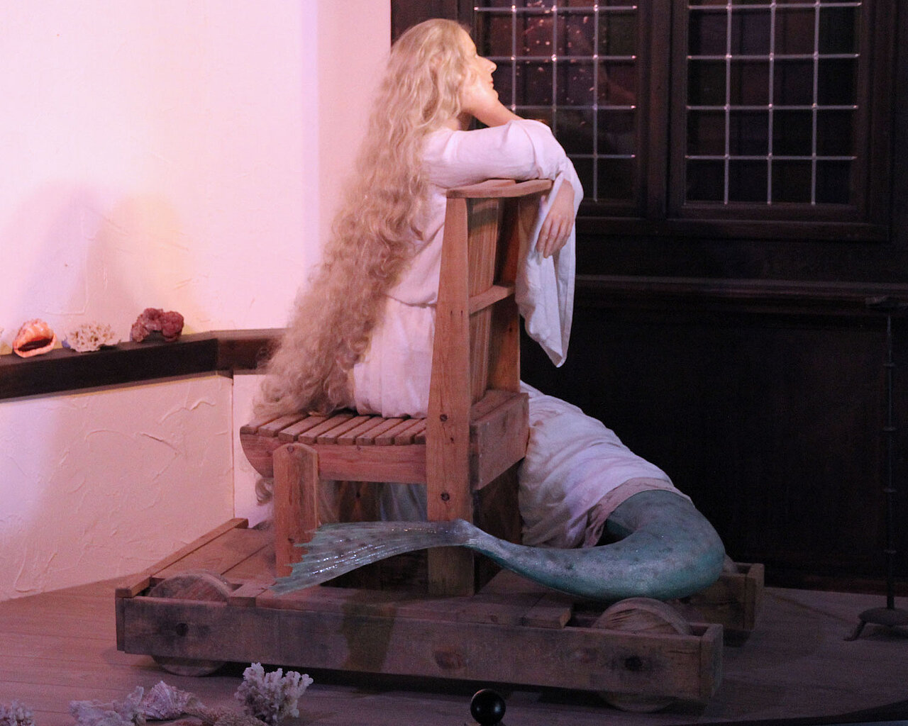 De zeemeermin in gedachten