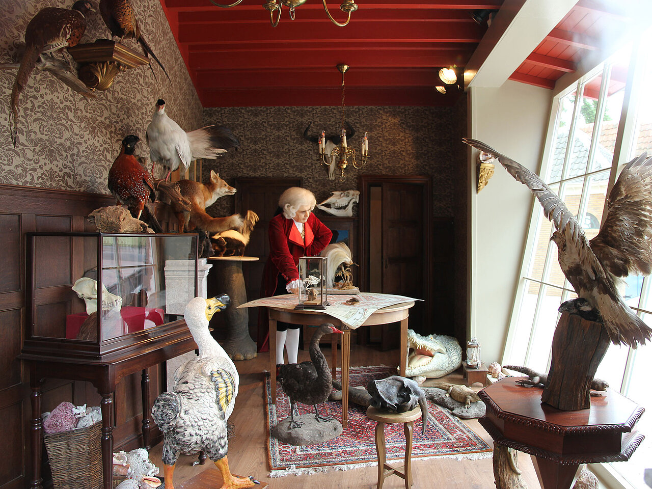 Het rariteitenkabinet