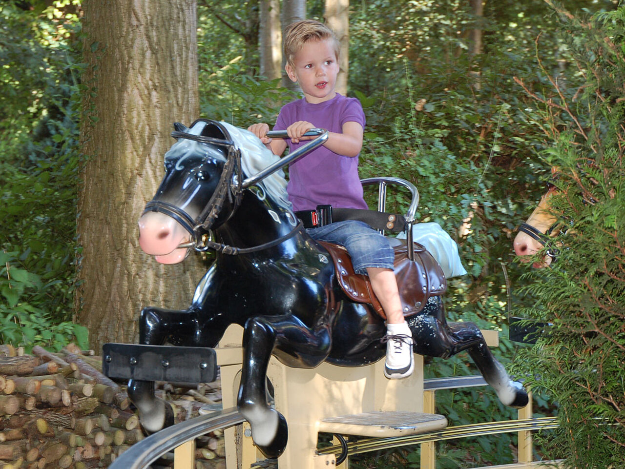 Hou de teugels goed vast!