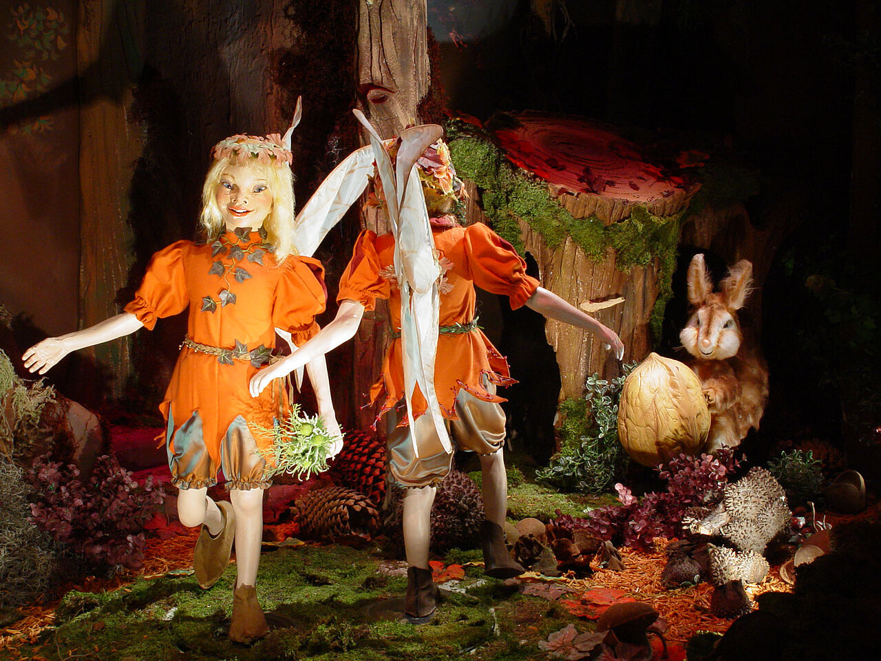 In de herfst dansen de elfjes voor de blaadjes