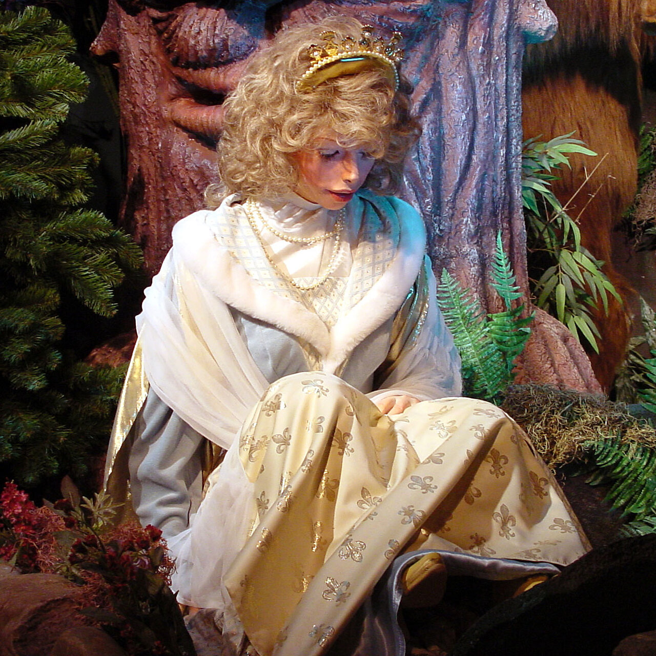 Violinde verdwaald in het bos